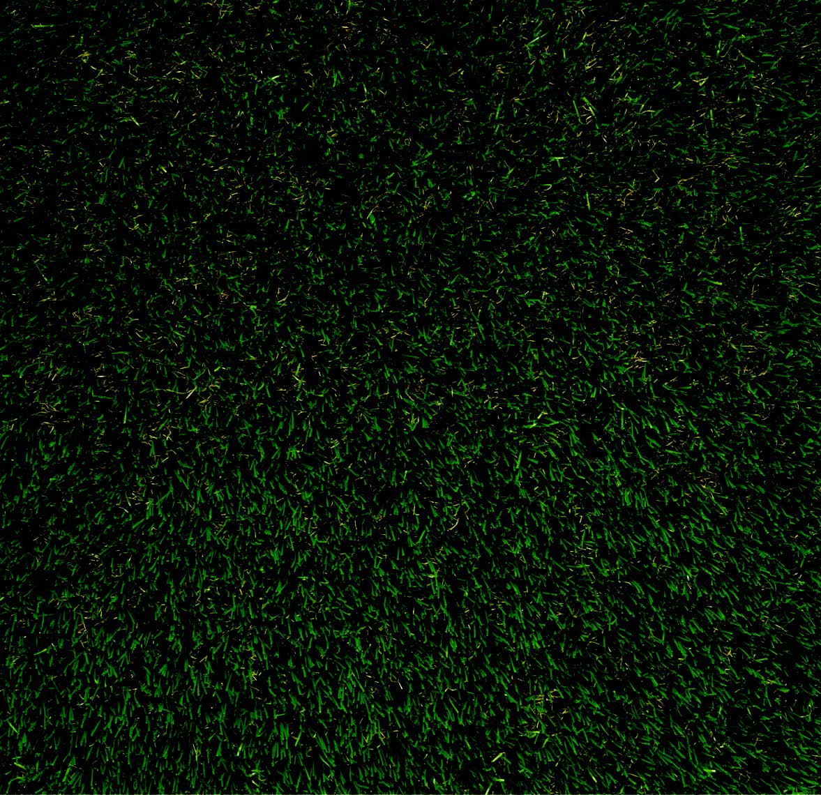 G > 45 MM ULTRA GREEN