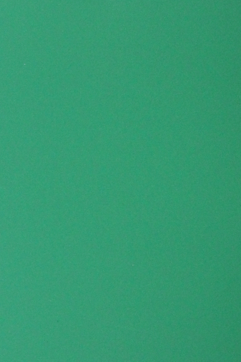 Plain 33