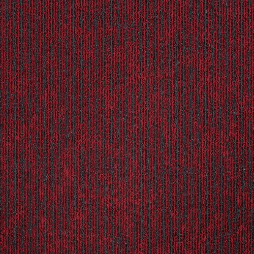Zembra 22